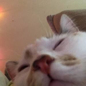 Meet your Posher, Brooklyn